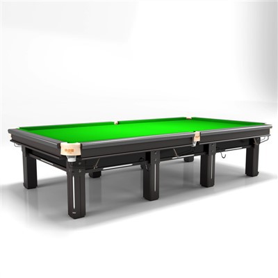 Modern Snooker Table
